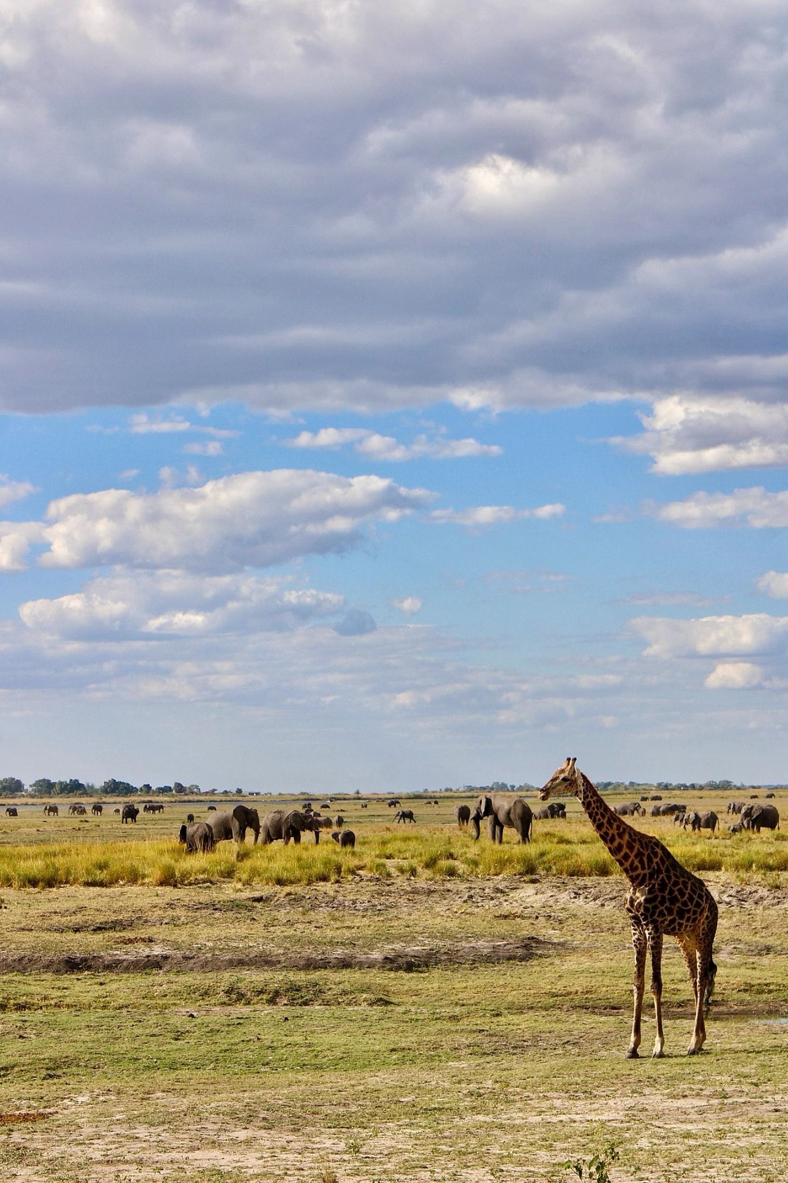 Botswana cultural experience